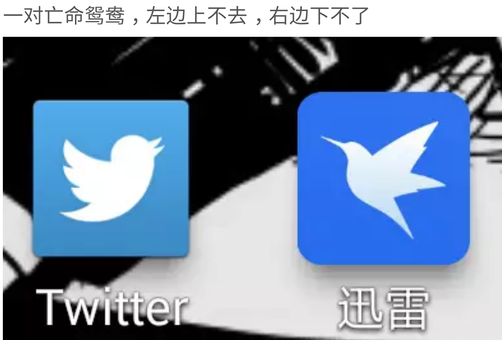 国家都不要脸你要什么脸