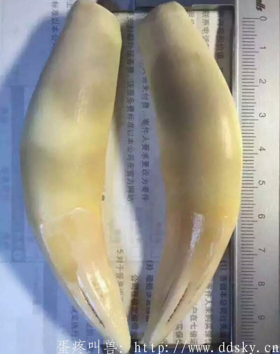 古玩文玩常见造假方法
